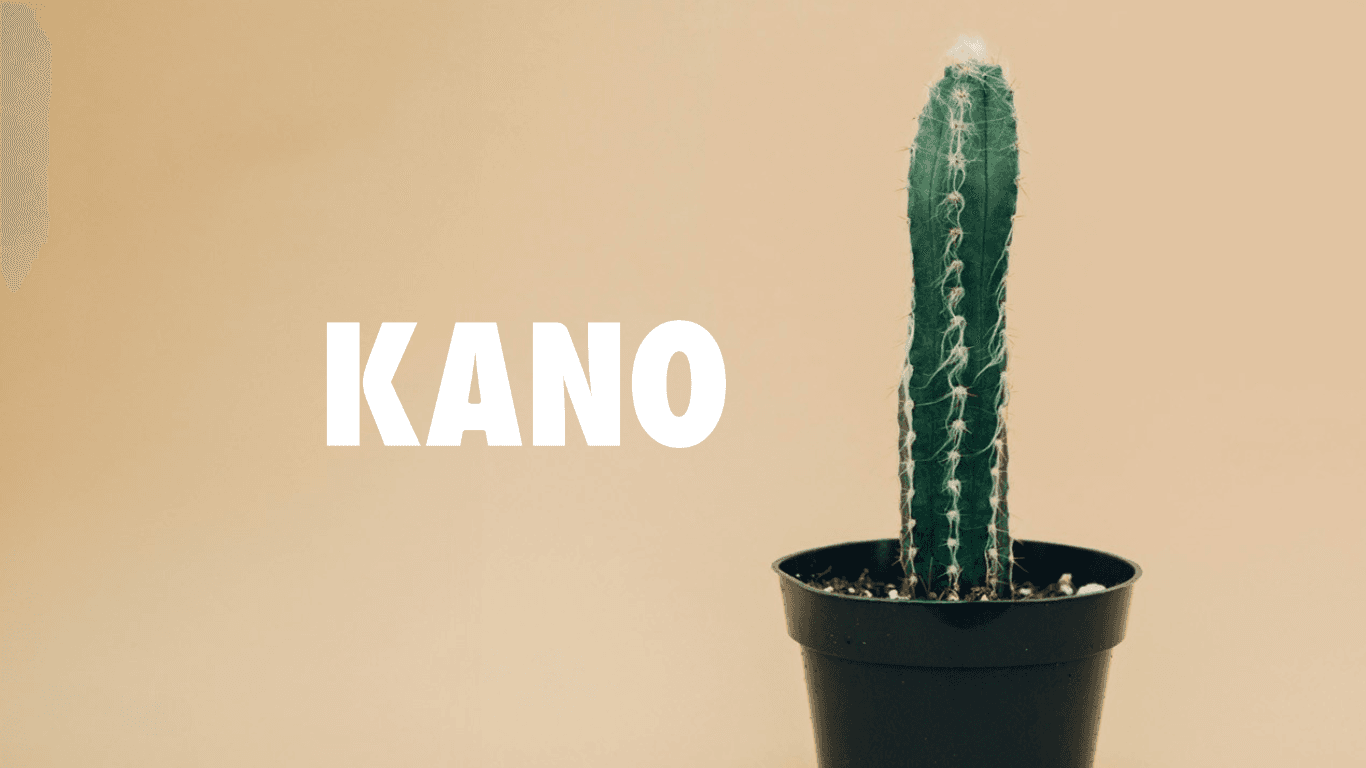 Ordoclic et Kano.care : une collaboration pour des ordonnances numériques pratiques et fiables. Ordoclic et Kano.care : une collaboration pour des ordonnances numériques pratiques et fiables.