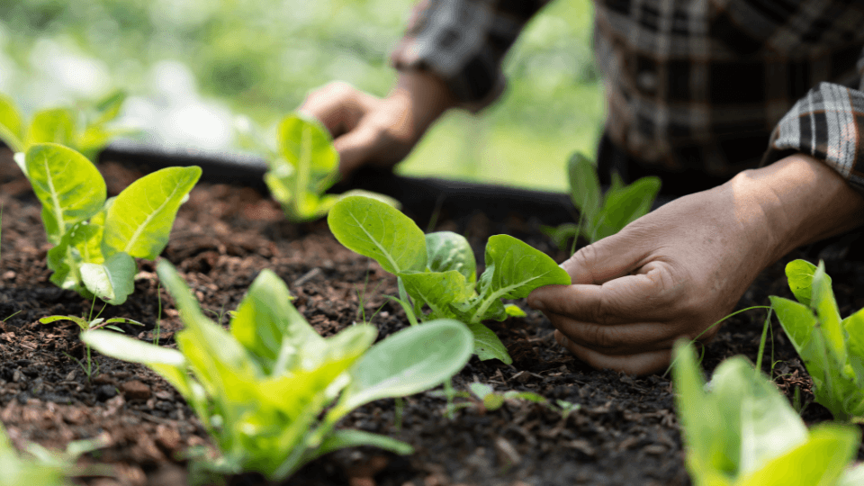 Adoptez une approche savoureuse et bénéfique pour votre santé grâce à nos plats équilibrés, conçus pour maximiser les bienfaits nutritionnels sans compromis sur le plaisir gustatif. Une alimentation saine peut jouer un rôle clé dans l’amélioration de la santé sexuelle, en stimulant la circulation sanguine et le bien-être général. Mais, lorsque des troubles comme la dysfonction érectile persistent, l’expertise d’un médecin devient primordiale. Kano.care offre des consultations en ligne rapides et discrètes avec des spécialistes, pour vous guider vers des solutions adaptées et efficaces à vos besoins. Prenez soin de votre santé, à table et au-delà. Plongez dans une expérience culinaire où santé et plaisir s’accordent à merveille. Nos créations équilibrées associent des ingrédients riches en nutriments et des saveurs exquises pour prendre soin de votre bien-être tout en ravissant vos papilles. Une alimentation saine et variée peut contribuer à améliorer la santé sexuelle et prévenir certains problèmes comme les troubles de l’érection. Cependant, si ces derniers persistent malgré une hygiène de vie adaptée, il est essentiel de consulter un médecin. Avec Kano.care, bénéficiez d’un accompagnement médical discret et professionnel pour retrouver votre bien-être intime en toute sérénité.